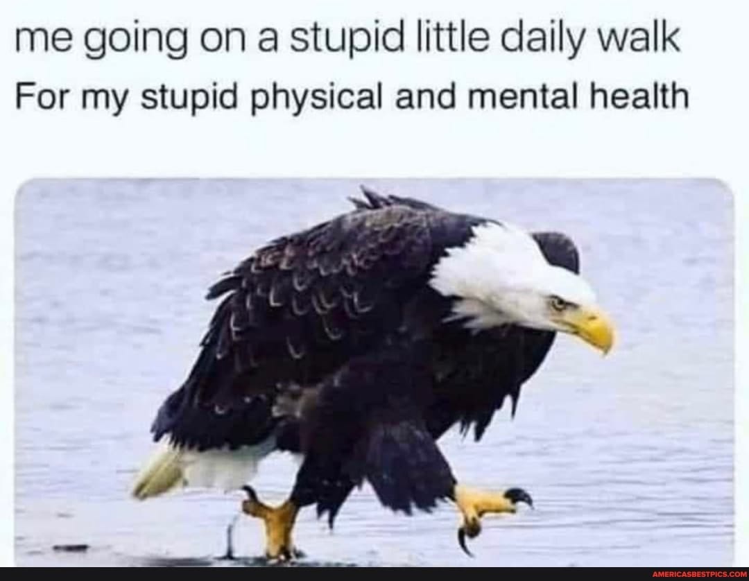 Me going on a stupid little daily walk For my stupid physical and mental health - America's best pics and videos