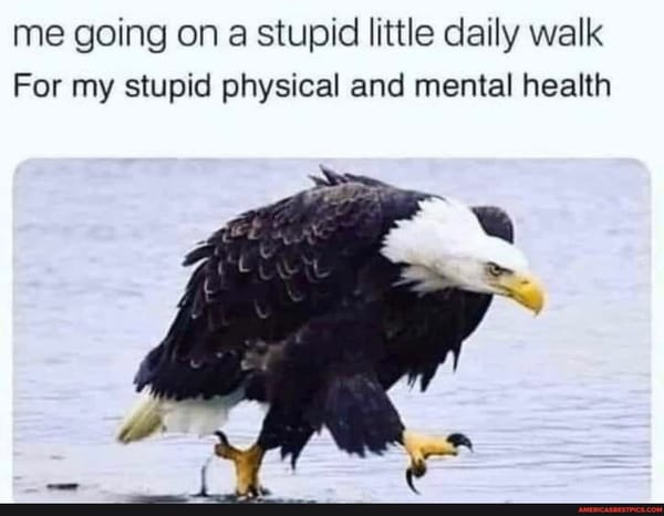 Name That Feeling
