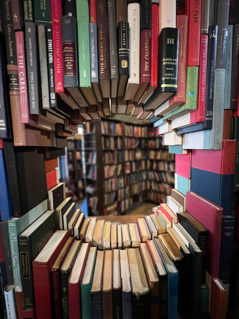 A book sculptures in The Last Bookstore of books arranged to create a porthole-like window in the shelves.