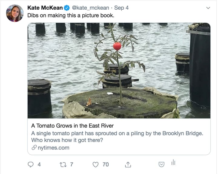 A Supposedly Good Idea I'm Not Going to Write